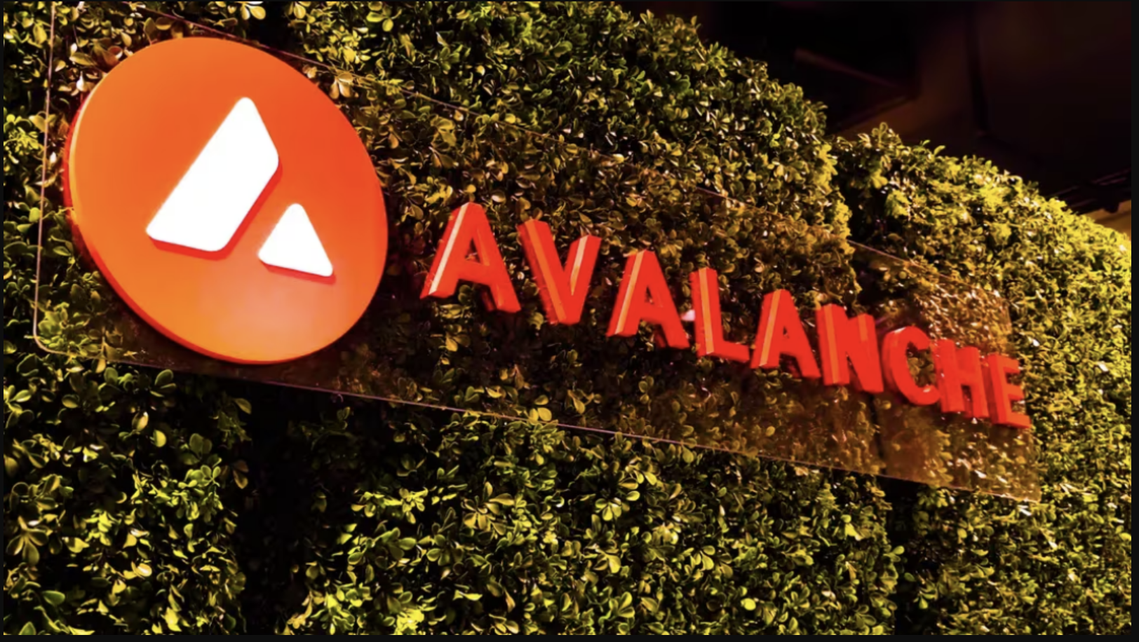 Kaliforniya Motorlu Taşıtlar Departmanı, Avalanche Ağına 42 Milyon Otomobil Ruhsatı Yerleştirdi
